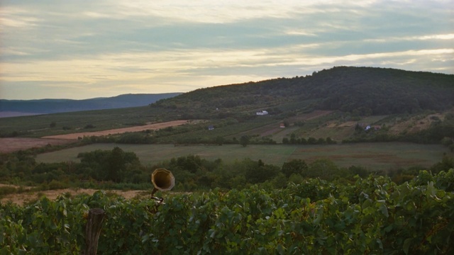 Video Reference: Cloud, Sky, Plant, Mountain, Natural landscape, Leaf, Land lot, Highland, Grass, Tree