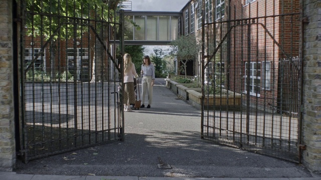 Video Reference: Building, Plant, Tree, Window, Road surface, Fence, Urban design, Sidewalk, Residential area, Facade