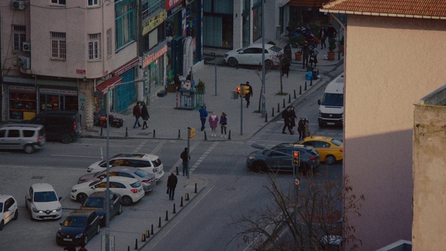 Video Reference: Car, Land vehicle, Wheel, Vehicle, Tire, Window, Building, Motor vehicle, Infrastructure, Road surface