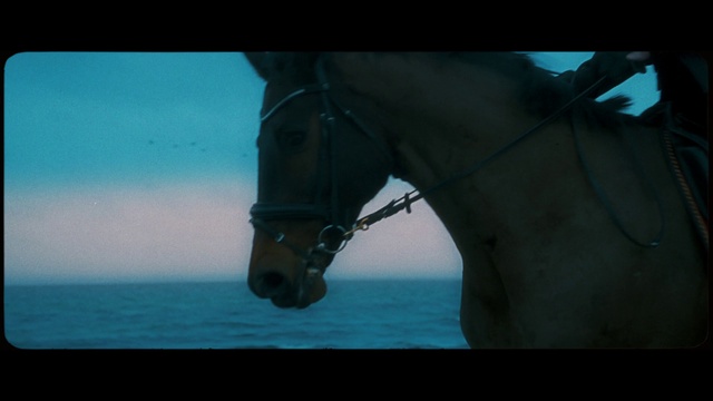 Video Reference: Horse, Water, Sky, Azure, Liquid, Working animal, Liver, Bridle, Landscape, Electric blue
