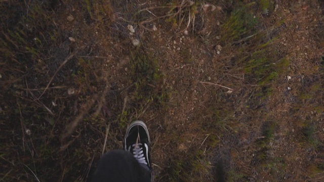 Video Reference: Shoe, Grey, Walking shoe, Grass, Tints and shades, Wood, Human leg, Outdoor shoe, Athletic shoe, Twig