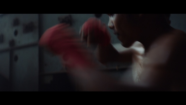 Video Reference: Flash photography, Gesture, Petal, Font, Magenta, Event, Darkness, Fun, Flesh, Display device