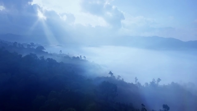 Video Reference: Cloud, Sky, Atmosphere, Ecoregion, Mountain, Plant, Highland, Tree, Vegetation, Fog
