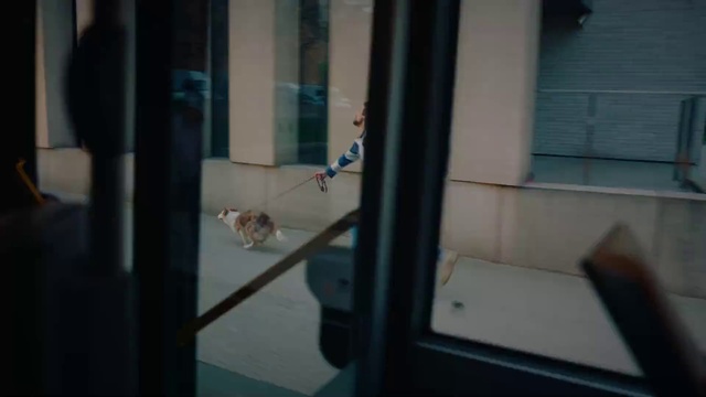 Video Reference: Window, Fixture, Wood, Door, Glass, Tints and shades, Building, Transparent material, Vehicle door, House