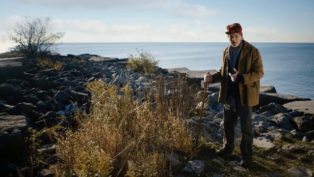 Video Reference: Water, Sky, Cloud, Wood, Coastal and oceanic landforms, Grass, Lake, People in nature, Landscape, Horizon