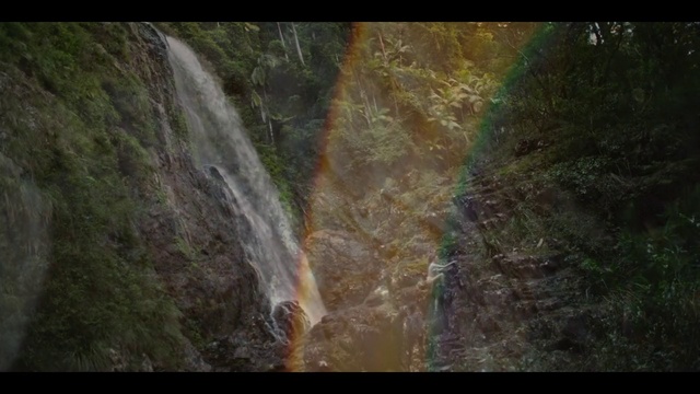 Video Reference: Water, Ecoregion, Waterfall, Natural landscape, Wood, Watercourse, Chute, Tree, Landscape, Geological phenomenon