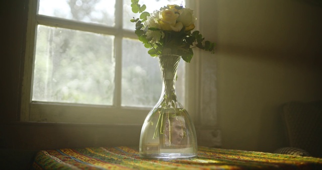Video Reference: Flower, Plant, Vase, Drinkware, Window, Petal, Interior design, Yellow, Artifact, Wood