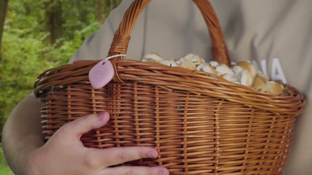 Video Reference: Natural material, Storage basket, Basket, Wood, Picnic basket, Beige, Wicker, Twig, Pattern, Event