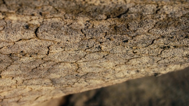 Video Reference: Brown, Road surface, Asphalt, Wood, Concrete, Pattern, Event, Soil, Landscape, Rock