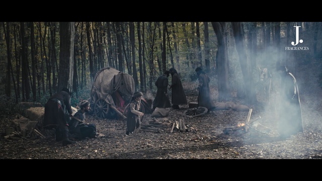 Video Reference: People in nature, Wood, Tree, Atmospheric phenomenon, Grass, Natural landscape, Trunk, Art, Tints and shades, Forest