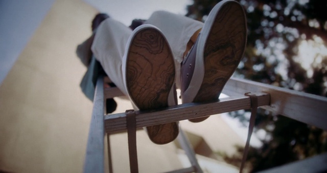 Video Reference: Hat, Wood, Eyewear, Sky, Tree, Human leg, Fashion accessory, Sun hat, Carmine, Automotive wheel system