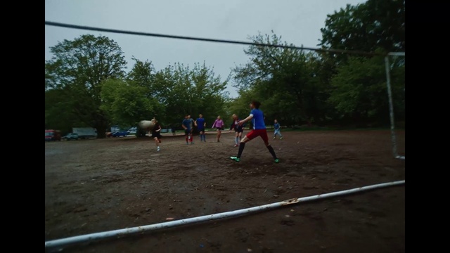 Video Reference: Shorts, Sky, Sports equipment, Tree, Player, Football, Soccer, Competition event, Sports, Grass