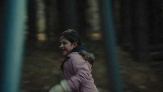 Video Reference: Smile, People in nature, Flash photography, Wood, Happy, Jacket, Black hair, Tree, Trunk, Grass