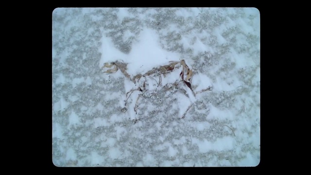 Video Reference: Brown, Rectangle, Sleeve, Twig, Font, Snow, Pattern, Wood, Metal, Art