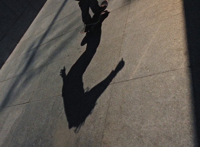 Video Reference: Leg, Gesture, Road surface, Asphalt, Wood, Tints and shades, Human leg, Tree, Elbow, Shadow