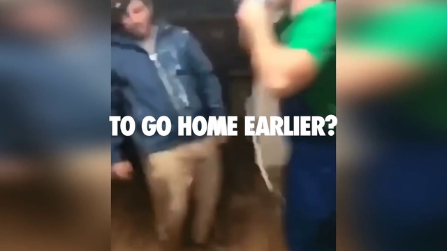 Video Reference: Jaw, Sleeve, Gesture, Font, Thigh, Thumb, Electric blue, Trunk, Abdomen, Knee