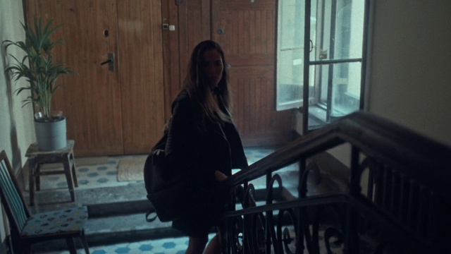 Video Reference: Flowerpot, Plant, Flash photography, Wood, Houseplant, Tints and shades, Jacket, Darkness, House, Room