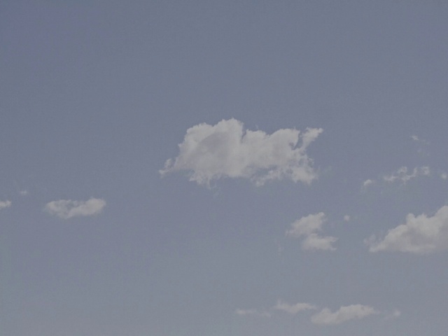Video Reference: Cloud, Sky, Atmosphere, Cumulus, Electric blue, Meteorological phenomenon, Tree, Horizon, Landscape, Evening