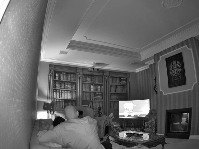 Video Reference: living room, sofa, television, people, indoor, black and white, home interior, bookshelf, fireplace, lamp, coffee table, relaxing, family room, wall decor, couch