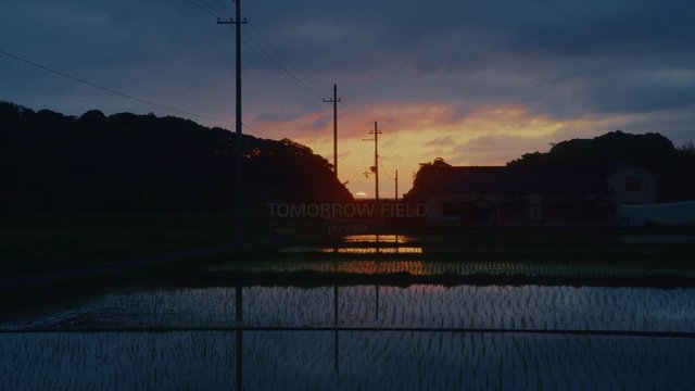 Video Reference: sunset, rice field, flooded field, landscape, silhouette, utility poles, countryside, reflection, twilight, sky, clouds, rural, building, water, dusk