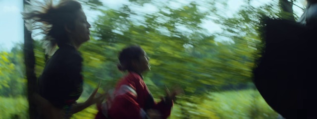 Video Reference: Plant, Happy, People in nature, Leisure, Recreation, Wood, Landscape, Forest, Tree, Grass