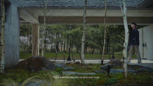 Video Reference: Plant, Wood, Shade, Trunk, Tree, Terrestrial plant, Grass, Landscape, Leisure, Recreation