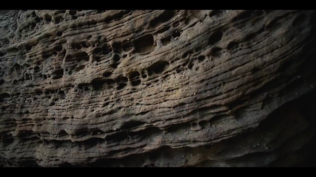 Video Reference: Bedrock, Wood, Formation, Trunk, Rock, Limestone, Darkness, Soil, Outcrop, Pattern