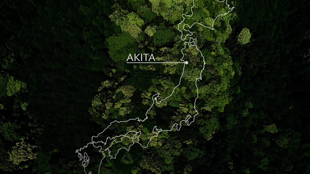 Video Reference: Map, World, Terrestrial plant, Screenshot, Forest, Jungle