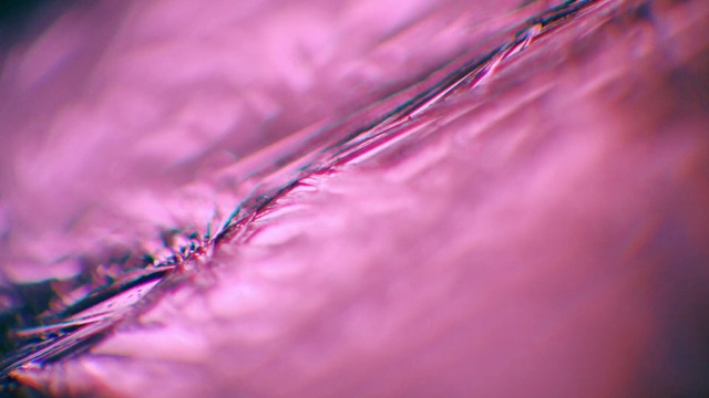 Video Reference: Water, Purple, Liquid, Pink, Violet, Twig, Plant, Tints and shades, Magenta, Petal