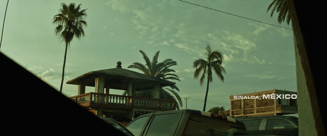 Video Reference: Cloud, Sky, Plant, Building, Window, Tree, Arecales, Body of water, Woody plant, Landscape