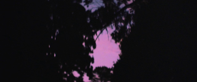 Video Reference: Sky, Plant, Purple, Astronomical object, Tints and shades, Twig, Tree, Electric blue, Magenta, Midnight