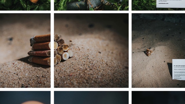 Video Reference: Organism, Terrestrial plant, Plant, Wood, Line, Font, Adaptation, Landscape, Grass, Cork