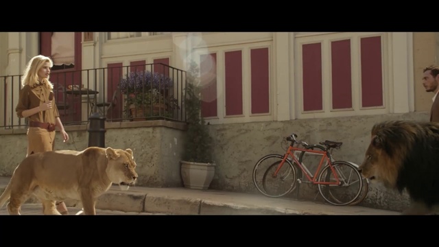 Video Reference: Bicycle, Wheel, Tire, Bicycle wheel, Building, Bicycle handlebar, Bicycle tire, Window, Bicycles--Equipment and supplies, Bicycle frame