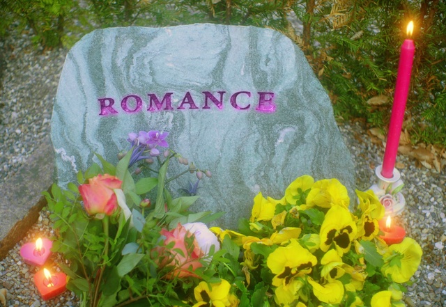 Video Reference: Flower, Plant, Petal, Nature, Botany, Vegetation, Grass, Biome, Cemetery, Groundcover