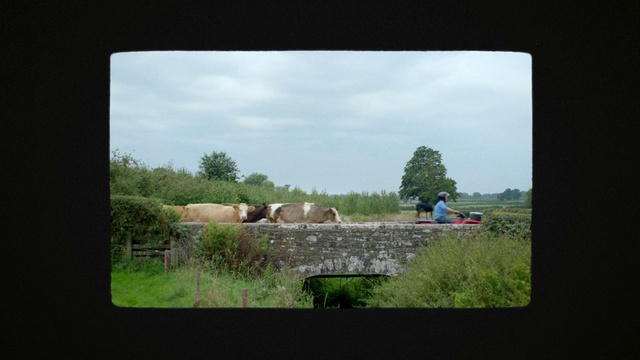 Video Reference: Plant, Sky, Cloud, Natural environment, Natural landscape, Land lot, Tree, Rectangle, Window, Grass