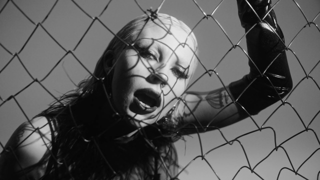 Video Reference: Head, White, Mouth, Flash photography, Human body, Mesh, Black-and-white, Happy, Style, Wire fencing