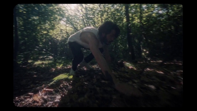 Video Reference: Plant, Flash photography, Wood, People in nature, Branch, Tree, Natural landscape, Grass, Happy, Trunk