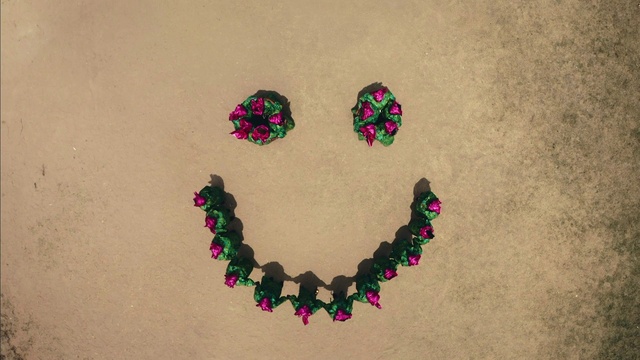 Video Reference: Body jewelry, Creative arts, Earrings, Font, Magenta, Jewellery, Natural material, Art, Circle, Pattern