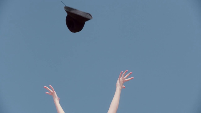 Video Reference: Sky, Toy, People in nature, Gesture, Happy, Street light, Wing, Aerobatics, Travel, Wind