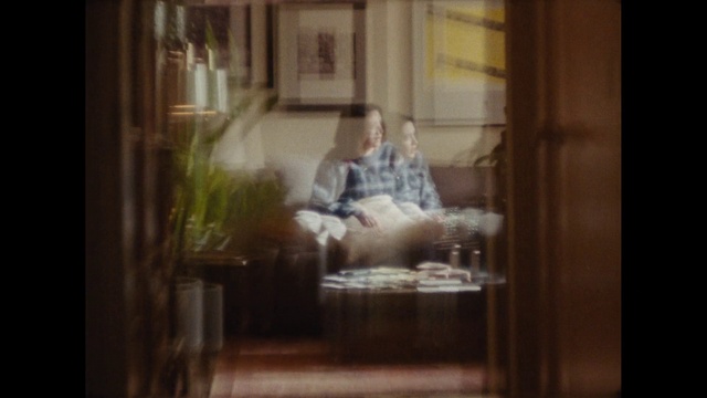 Video Reference: Window, Building, Wood, Hardwood, Plant, Flooring, Glass, Comfort, Sitting, House