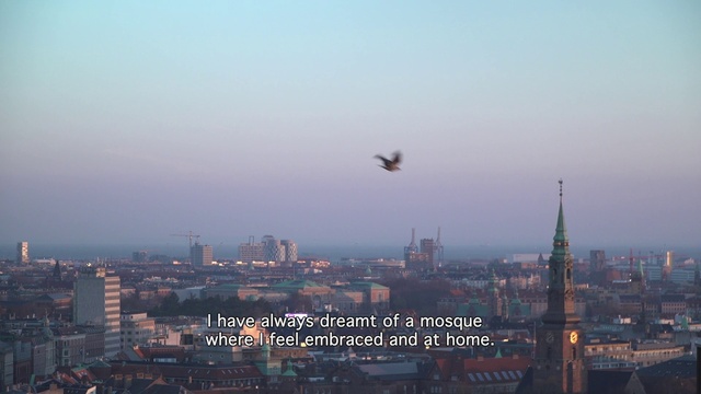 Video Reference: Sky, Atmosphere, Building, Bird, Skyscraper, Tower, Dusk, Tower block, Urban design, Horizon