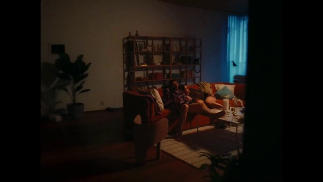 Video Reference: Plant, Picture frame, Curtain, Window, Wood, Building, House, Houseplant, Tints and shades, Comfort