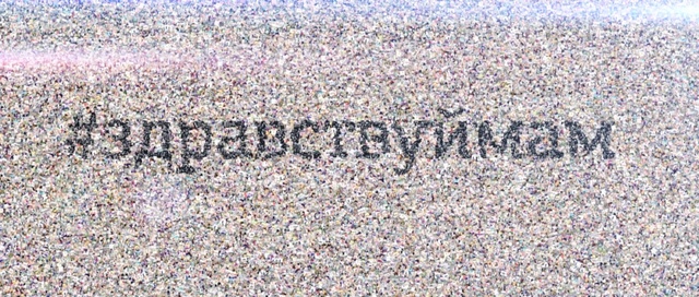 Video Reference: Vertebrate, Asphalt, Font, Pattern, Groundcover, Crowd, Rectangle, Soil, Art