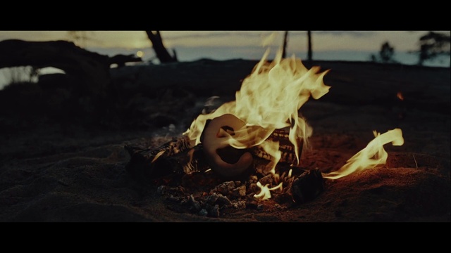 Video Reference: Bonfire, Wood, Fire, Sky, Flame, Gas, Tints and shades, Heat, Landscape, Campfire