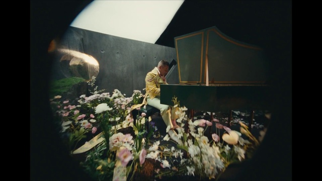 Video Reference: Flower, Plant, Organism, Flash photography, Art, Tints and shades, Entertainment, Houseplant, Darkness, Grass