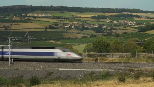 Video Reference: Train, Plant, Sky, Plant community, Ecoregion, Vehicle, Tree, Land lot, Mode of transport, Highland