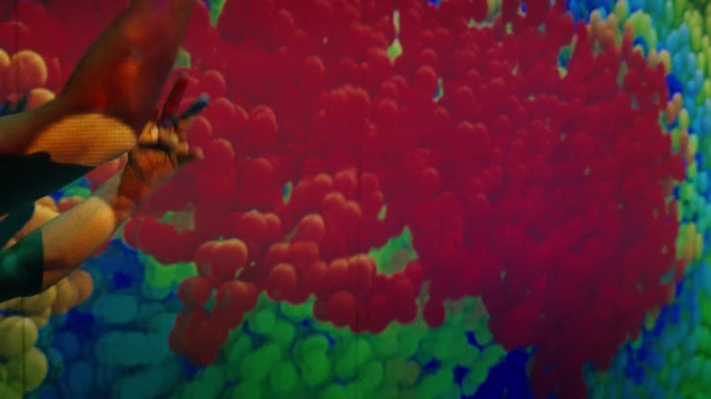 Video Reference: Colorfulness, Petal, Nature, Natural environment, Organism, Plant, Art, Magenta, Grass, Pattern