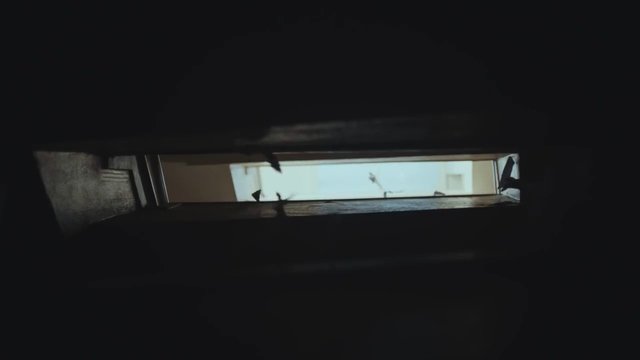 Video Reference: dark, interior, window, opening, narrow, light, exterior, wall, building, shadows, architecture, viewpoint