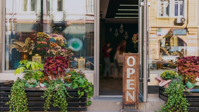 Video Reference: Plant, Building, Property, Flowerpot, Window, Architecture, Neighbourhood, Houseplant, Public space, Leisure