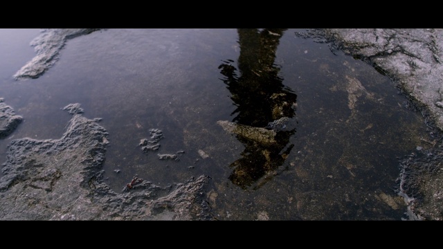 Video Reference: Water, Plant, Bank, Sky, Road surface, Lake, Landscape, Natural landscape, Asphalt, Grass